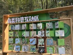 -上海佘山国家森林公园天马山园