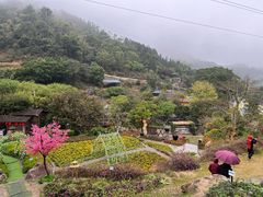 -广东天露山旅游度假区