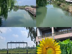 -乌村