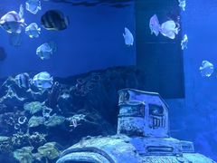 -海合安武汉极地海洋公园