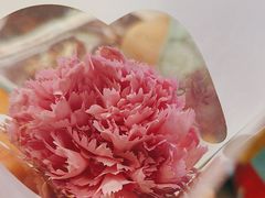 -灶座小锅烀饼·铁锅炖(道里店)