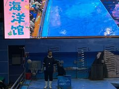 -洛阳龙门海洋馆