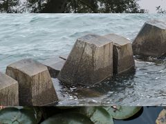 -八大关景区