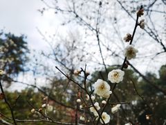 -杭州植物园