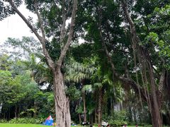 -深圳国际园林花卉博览园