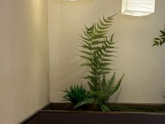 -万达广场(泰安泰山店)