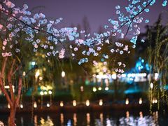 -运河游船(武林门码头)