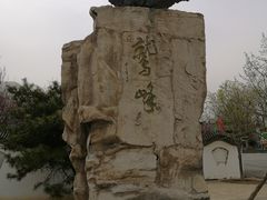 -北京鹫峰国家森林公园