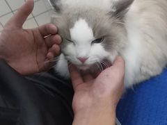 -沐沐家宠物(成寿寺店)