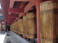 -龙口南山旅游景区