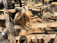 -北京鹿世界主题园