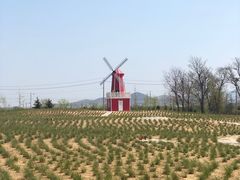 -羊亭河湿地公园