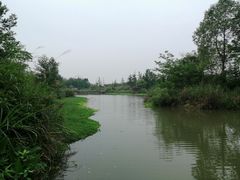 -桤木河湿地公园