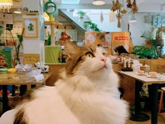 -小时光咖啡馆(北锣鼓巷店)