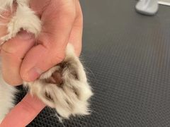 -comecome来吧宠物(奥克斯中心店)