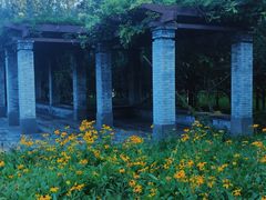 -永定河休闲森林公园