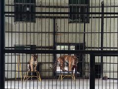 -广东茂名森林公园