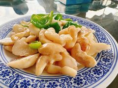 菱角鸡头米-水岸居湖景农家乐·阳澄湖大闸蟹