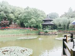 -天目湖山水园