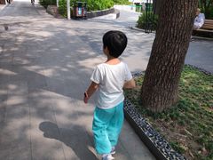 -兰溪青年公园