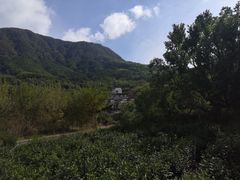 -塔川景区