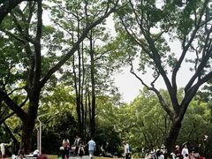 -人民公园(罗湖区)