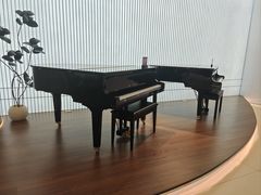 -雅马哈乐器专卖店(广州旗舰店)