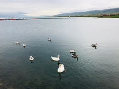 -青海湖国家重点风景名胜区