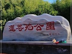 -莲花池公园