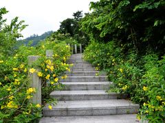 -小南山公园