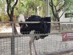 -东莞香市动物园