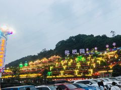 -枇杷园食为鲜火锅(南山店)