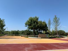 -西安浐灞国家湿地公园