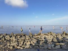 -南汇嘴观海公园