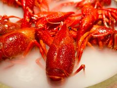 -红盔甲·小龙虾(定西路店)