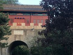 -云岗森林公园