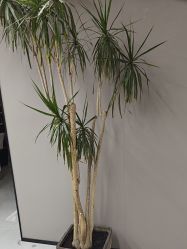 -宫铭烫发染发接发店