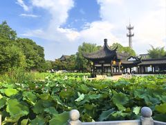 -丝绸小镇荻港古村