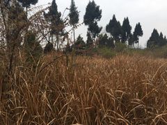 仙海风景区-仙海旅游度假区