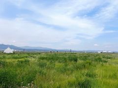 -敕勒川草原