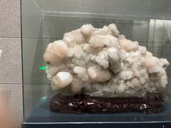 -湖南省地质博物馆