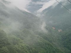 -陕西省红河谷森林公园