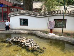 -红螺寺