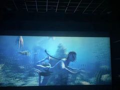 -幸福蓝海国际影城(河西店)