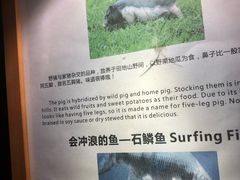 -七仙岭君澜度假酒店·桃源小馆中餐厅