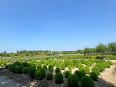 -嘉北郊野公园