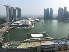 -新加坡丽思卡尔顿美年酒店