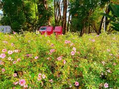 -人民公园(罗湖区)