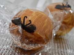 -BLACKSWAN黑天鹅(环球店)