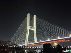 -新疆阿力烧烤